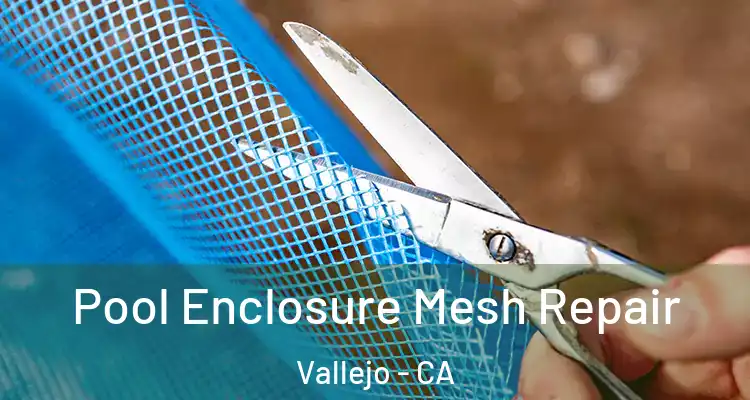 Pool Enclosure Mesh Repair Vallejo - CA