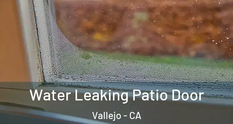 Water Leaking Patio Door Vallejo - CA